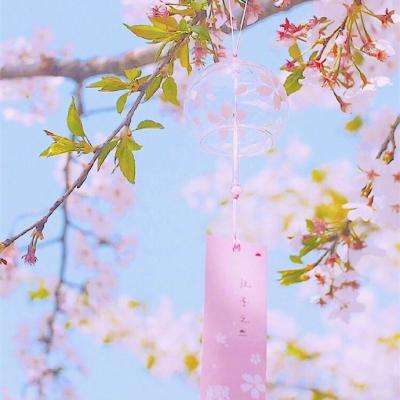 足球梦之队果盘手游下载